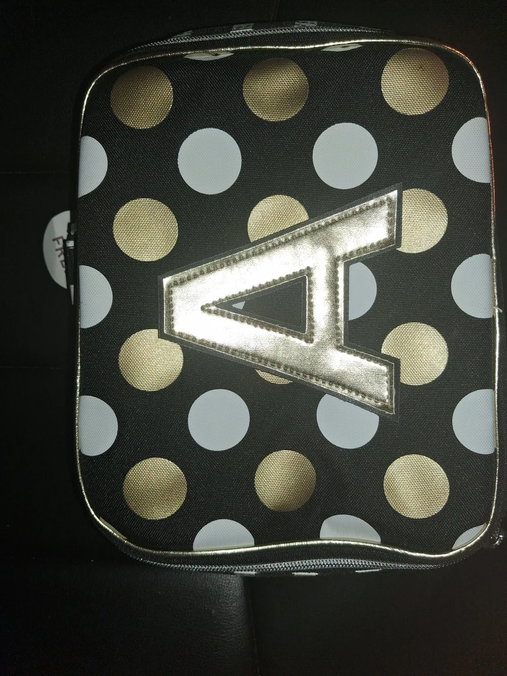 Justice Black and Silver Striped Insulated Travel Case